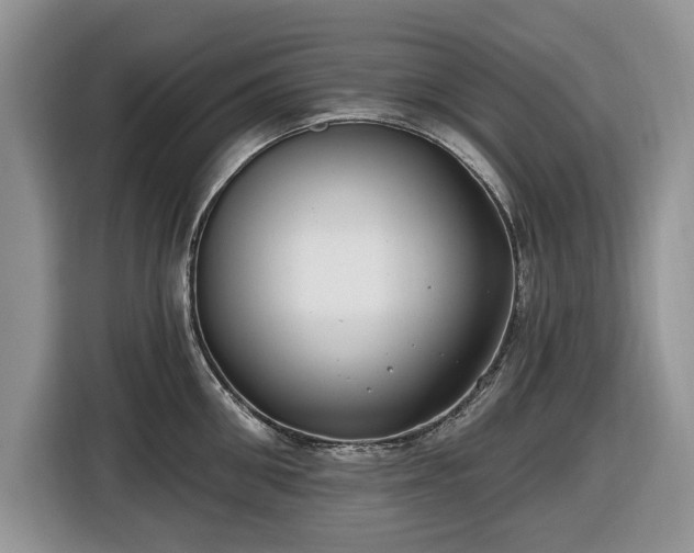 X0000116430906200912151016
