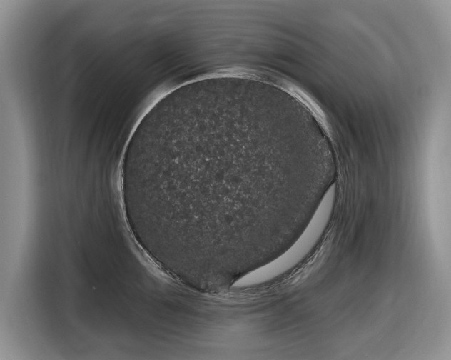 X0000116430907200912151016