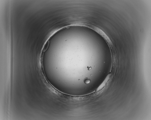 X0000116430908200912151016