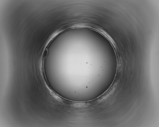 X0000116430909200912151016