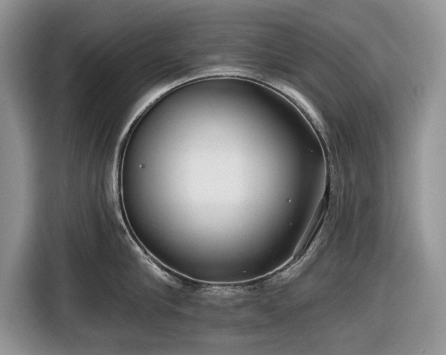 X0000116430910200912151016