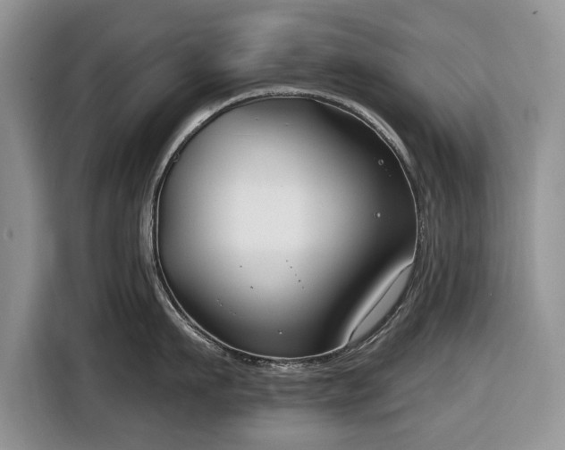 X0000116430911200912151016