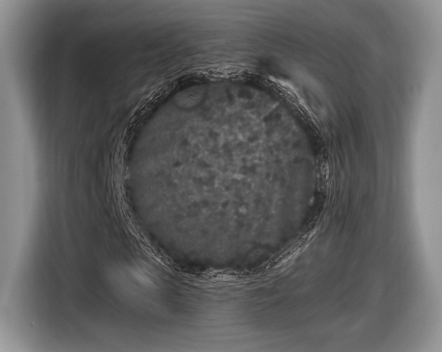 X0000116430913200912151015