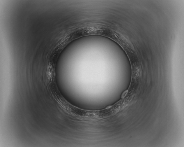 X0000116430914200912151015