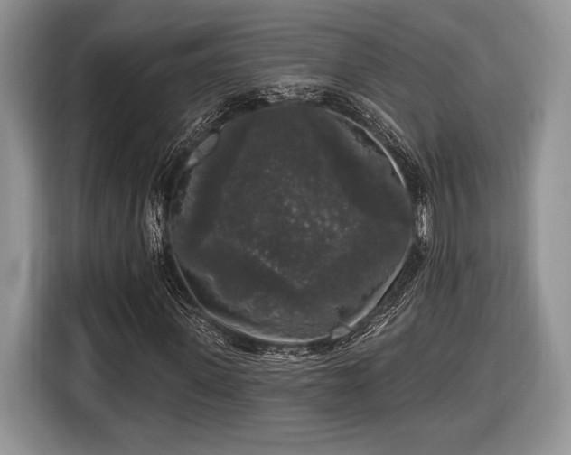 X0000116430915200912151015