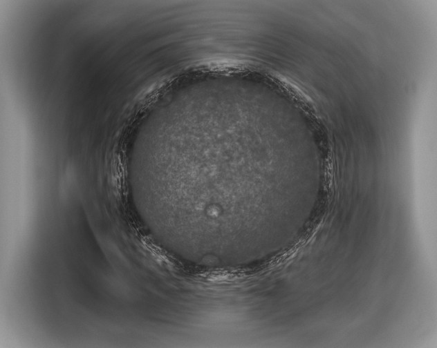 X0000116430917200912151015
