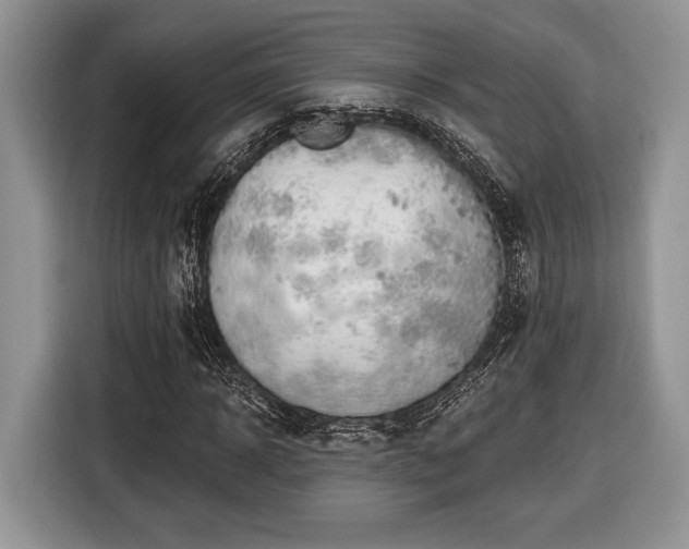 X0000116430918200912151015