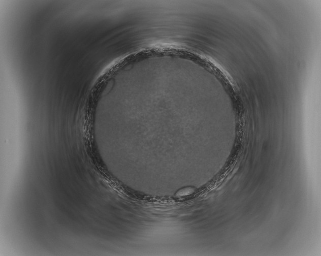 X0000116430919200912151015