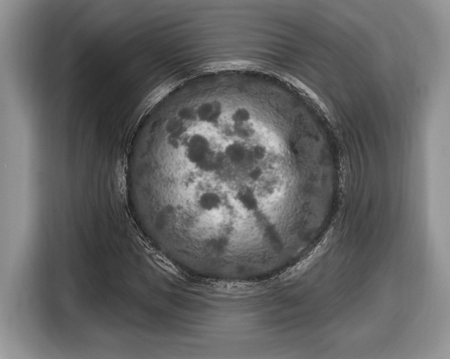 X0000116430921200912151015