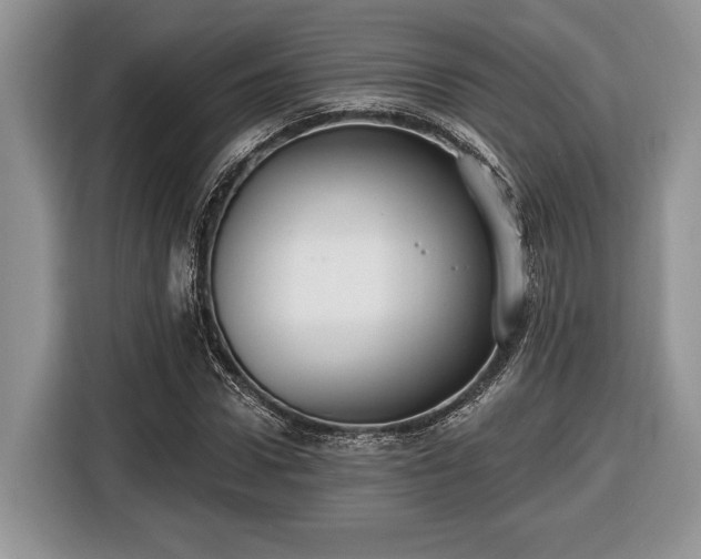 X0000116430922200912151015