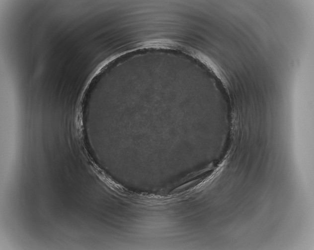 X0000116430923200912151015