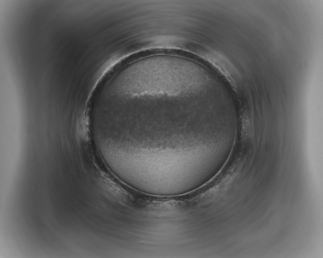 X0000116430926200912151015