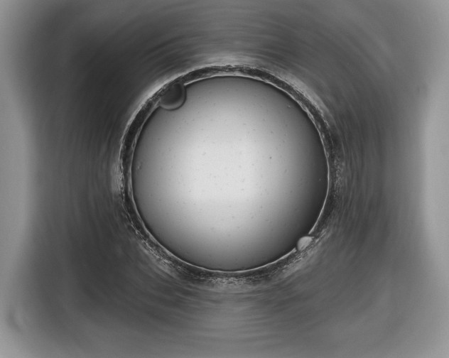 X0000116430927200912151015