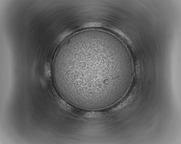 X0000116430929200912151015
