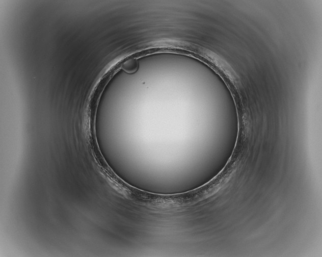 X0000116430931200912151015