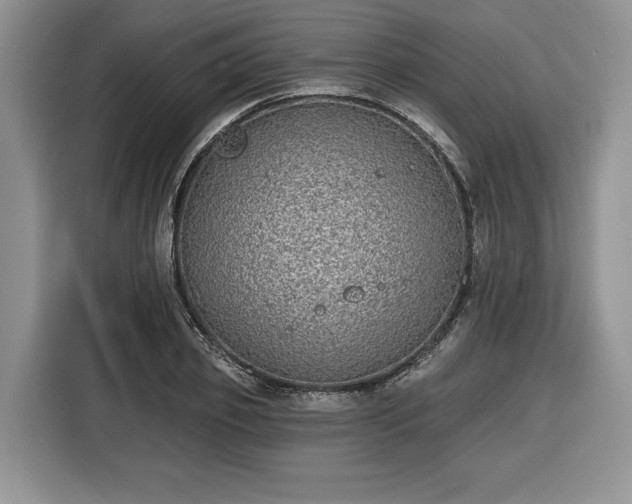 X0000116430933200912151015