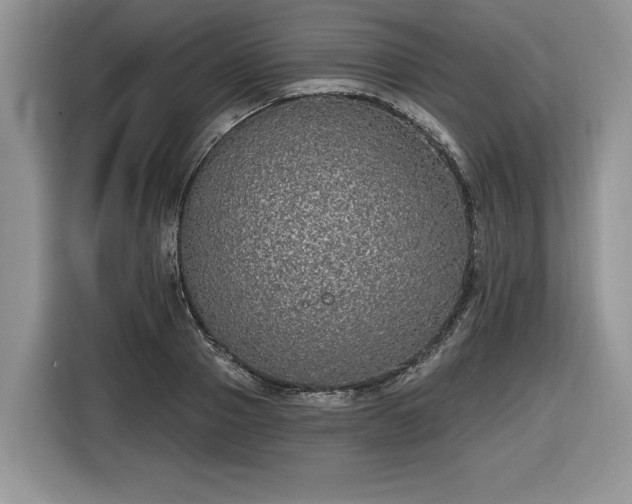 X0000116430937200912151015