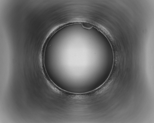 X0000116430942200912151015