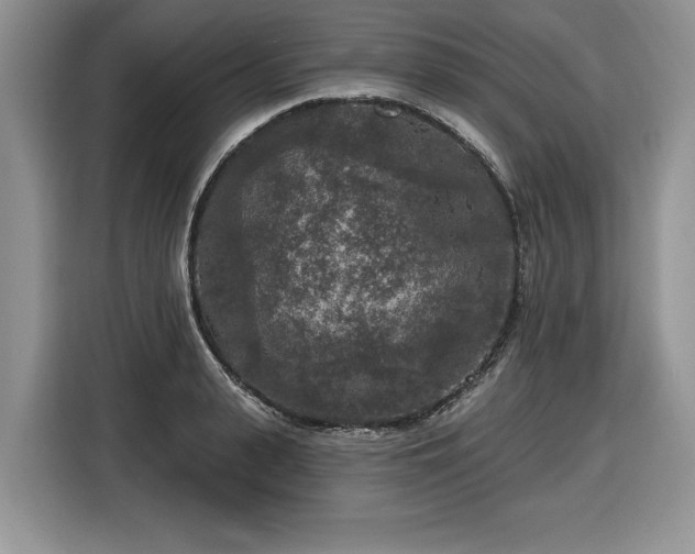 X0000116430943200912151015