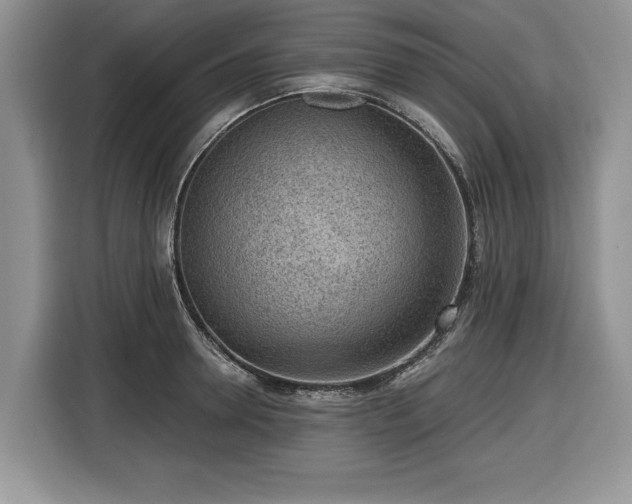 X0000116430946200912151015