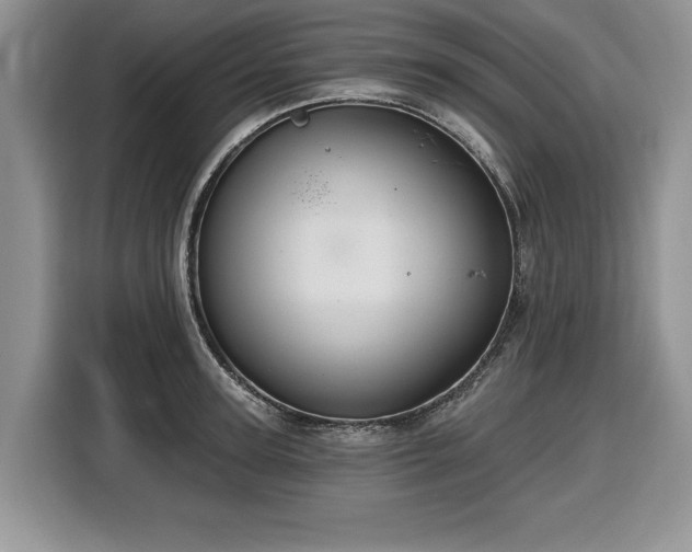 X0000116430947200912151015