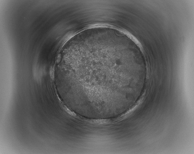 X0000116430953200912151015