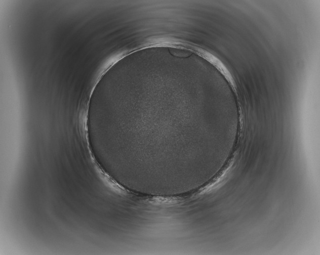 X0000116430954200912151015