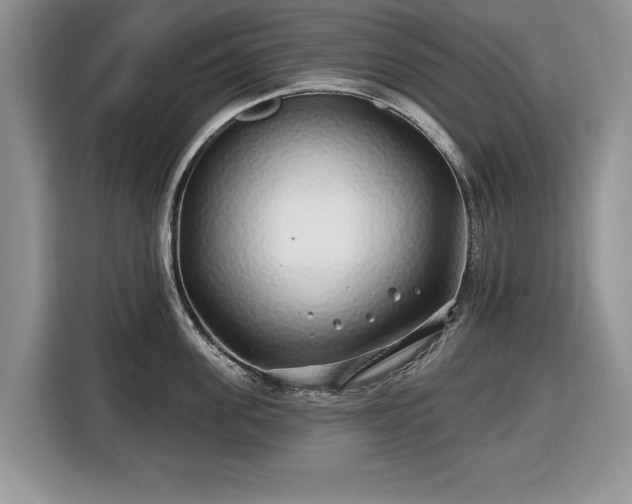 X0000116430955200912151015