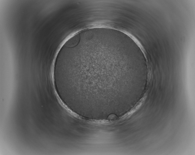 X0000116430957200912151015