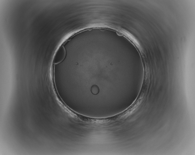 X0000116430958200912151015