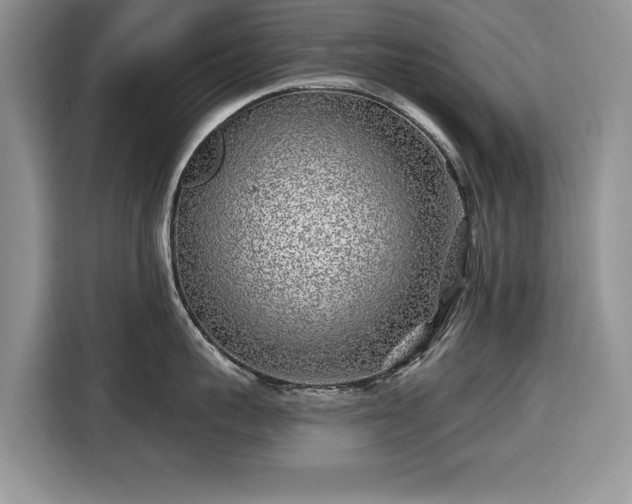 X0000116430959200912151015