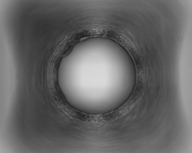 X0000116430961200912151015