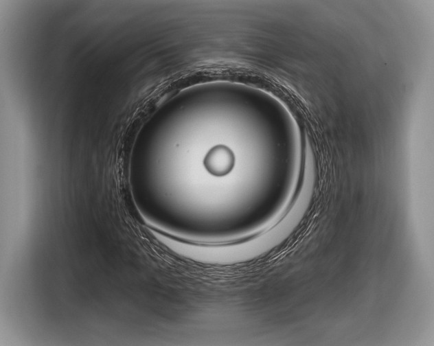 X0000116430965200912151015