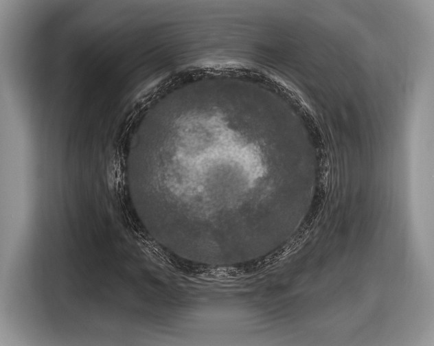 X0000116430966200912151015