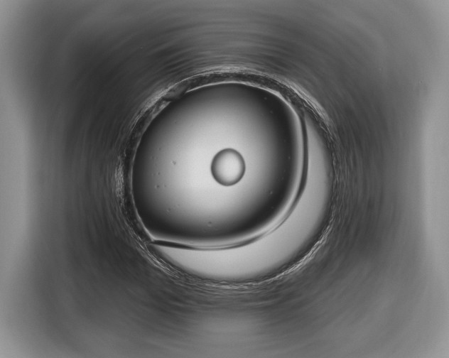 X0000116430969200912151015