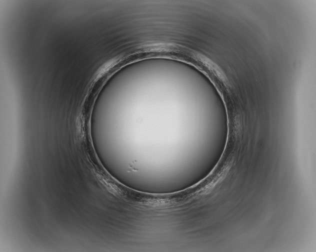 X0000116430970200912151015