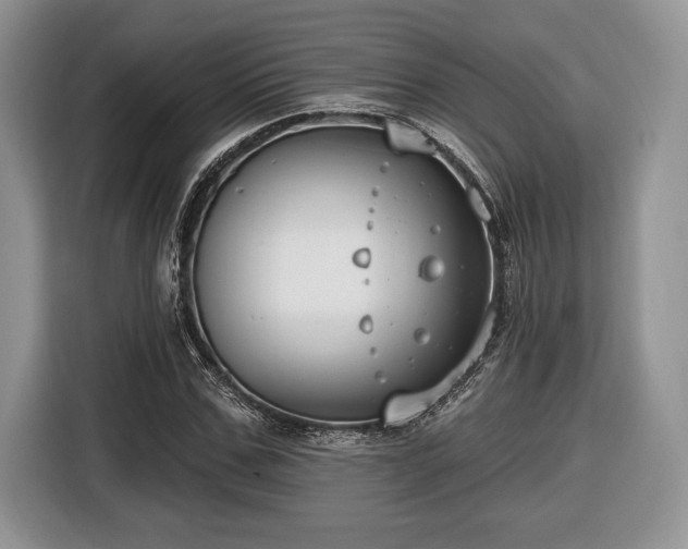 X0000116430971200912151015