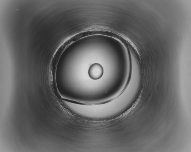 X0000116430973200912151015
