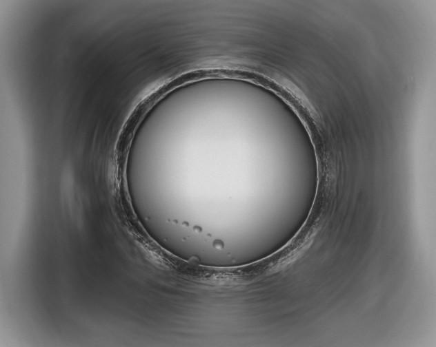X0000116430974200912151015