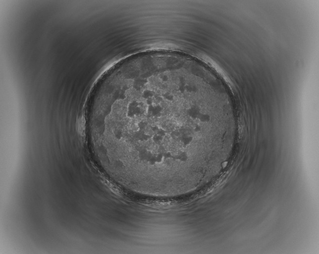 X0000116430975200912151015