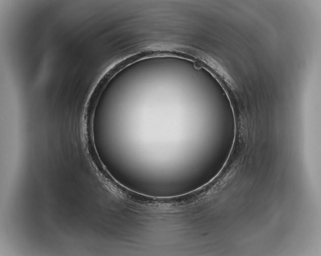 X0000116430976200912151015