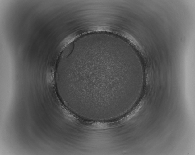 X0000116430977200912151015
