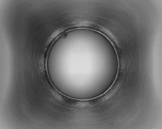 X0000116430978200912151015