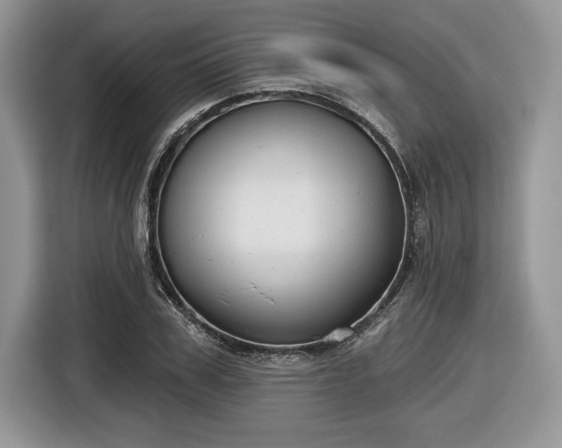 X0000116430979200912151015
