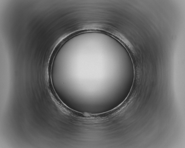 X0000116430980200912151015