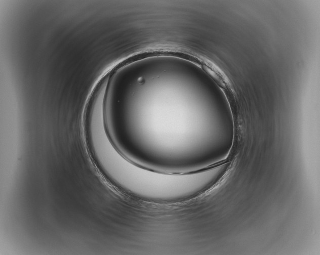 X0000116430981200912151015