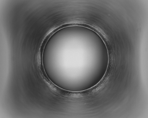 X0000116430982200912151015