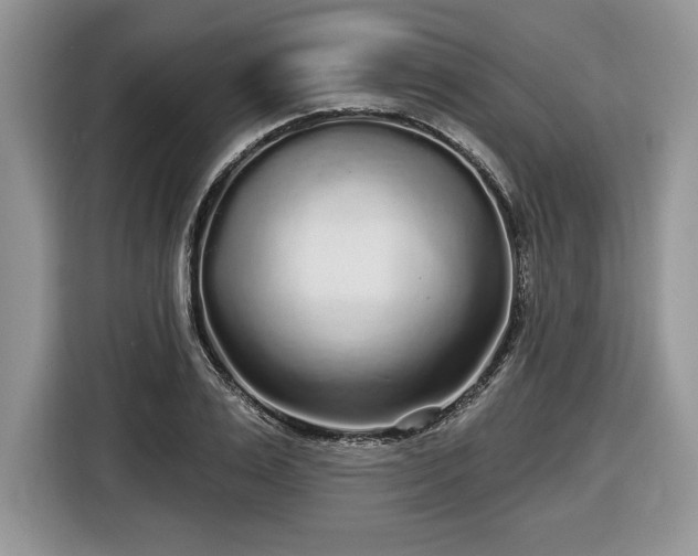 X0000116430983200912151015