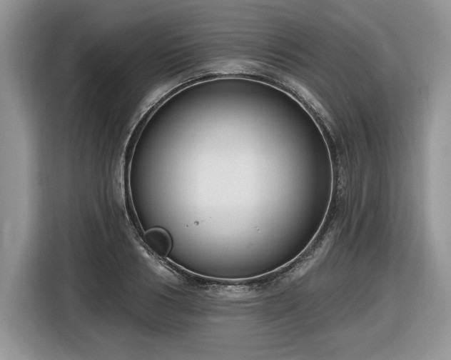 X0000116430986200912151015