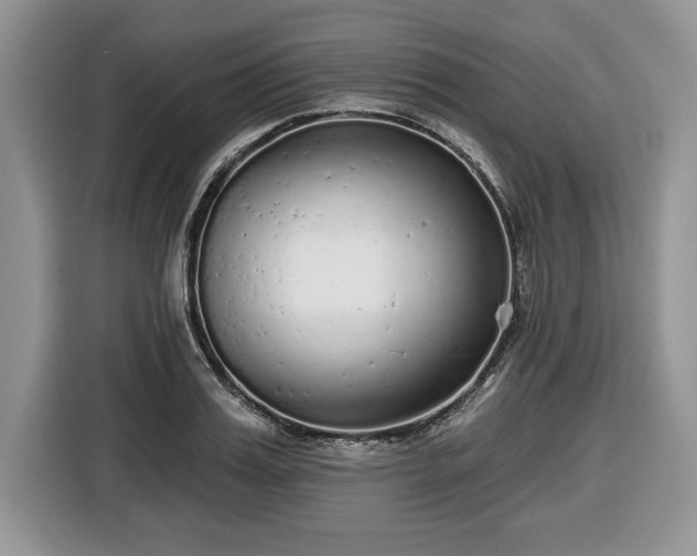 X0000116430987200912151015